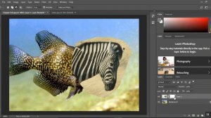 Hybrid Animal How To in Photoshop CC 2018