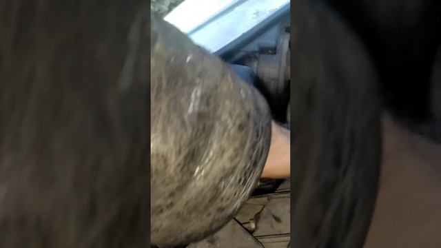 Ford Escape (вариант #2)