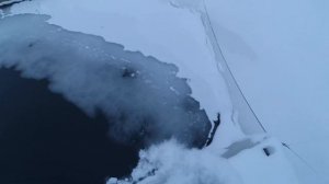 Форель в пруду . Самый быстрый рост.