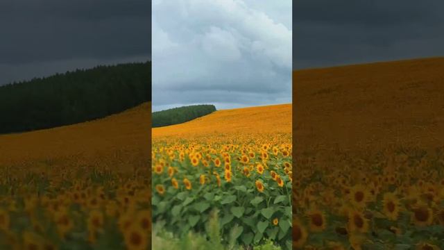 Родная Башкирия 🌻🏞️