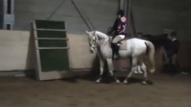 Dina og Arabell смотреть онлайн