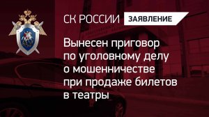 Вынесен приговор по уголовному делу о мошенничестве при продаже билетов в театры