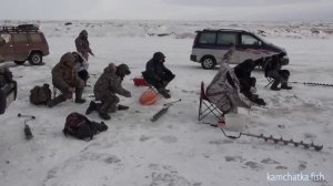 Рыбалка на Камчатке. р. Большая. Корюшка