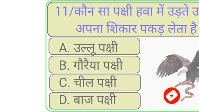 Quiz महलओ क कस अग म जहर क मतर पई जत ह ?  Gk Questions And Answers