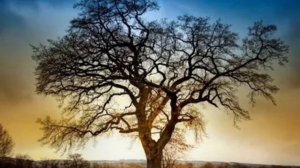 Адыги, стихотворение Мухамеда Огузова