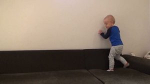 ТРЮКИ НА ДИВАНЕ или что умеет Элиас