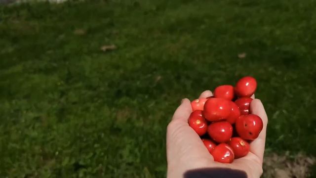 Смотри и узнай, как живут французы в деревне. Старая Франция.  Незнакомая Франция.