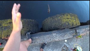 ПЕЛАГИЧЕСКИЙ ДЖИГ ПО СУДАКУ ? Эта проводка обошла обычную джиговую ступеньку! Ловля в рижском порту!