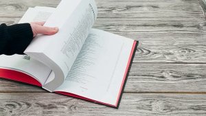 Хулиномика. Элитно, подробно, подарочно!