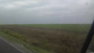 Полем Полем Полем свежий ветер пролетел )))