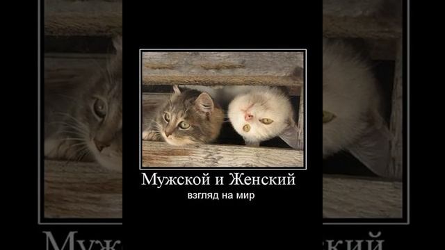 С добрым утром   // Good morning
