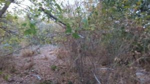 Почему Норвегия живет  на нефтяные доходы лучше чем Россия?