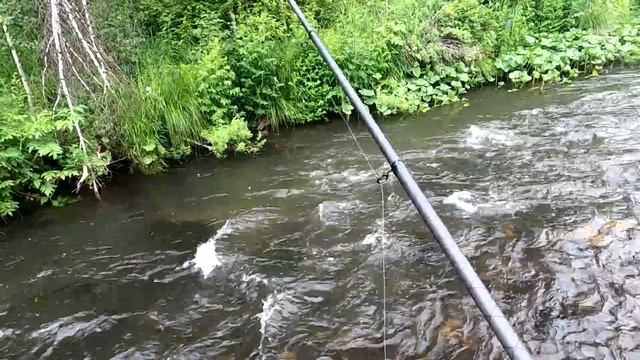 Рыбалка на Хариуса после дождя/На уху кое как. смотреть онлайн