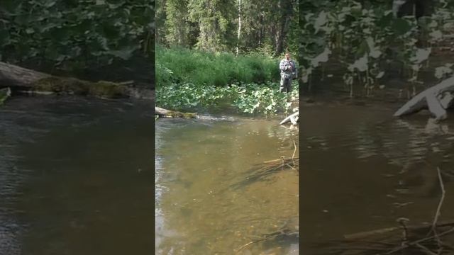 1601 Рыбачит там, где Распугал Рыбу #дмитрийяков #рыбалка #тайга #fishing #выживалово #лес #охота