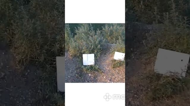 Crash-тест дверей AquaDoor: испытания на прочность смотреть онлайн