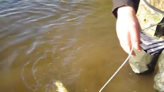 В районе Бронниц на МР смотреть онлайн