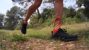 NIKE Air Zoom PEGASUS 39 VS Pegasus 38 Shield  - TEST - INCYLENCE Socks - 4K