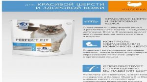 Топ - 5. Лучшие сухие корма для кошек 2024