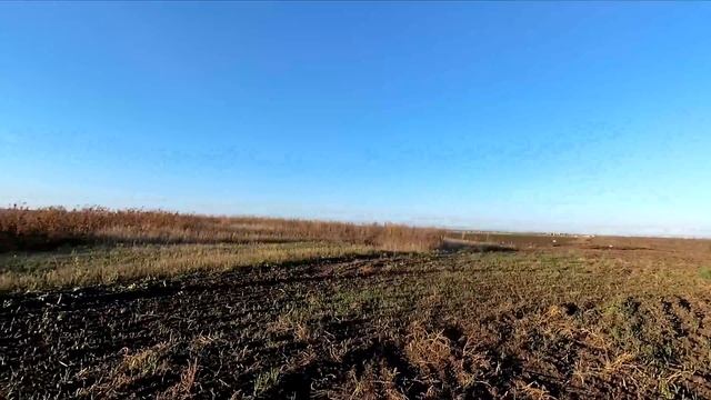 Охота на зайца - открытие 3.11.2018 год смотреть онлайн