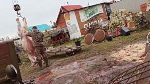 Потеряли пацана или как разделать быка на запчасти)