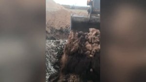 Откос суглинок на гусеничном экскаваторе ‼️‼️‼️