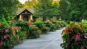 ?Красивое благоустройство садового участка Идеи для вдохновения / Garden Ideas / A - Video