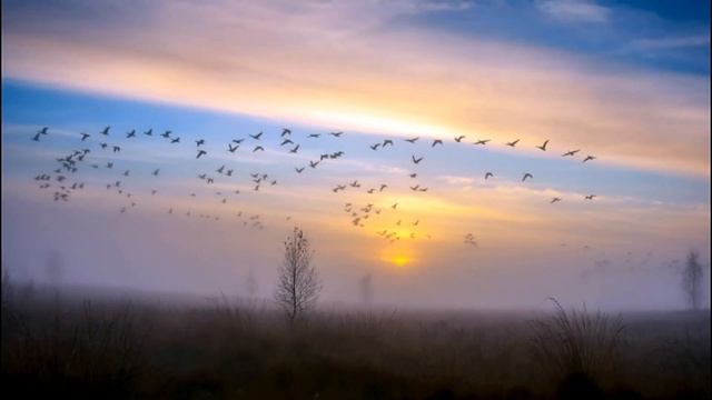 #ЛЕТО УХОДИТ# Авторская песня. смотреть онлайн