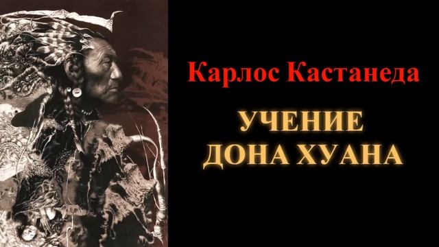 Карлос Кастанеда. Учение дона Хуана