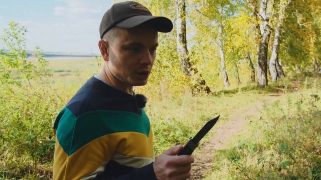 Осенний сбор грибов! Рыжики, грузди, шампиньоны, подберезовики – как найти и распознать! смотреть онлайн