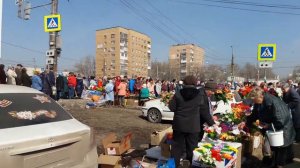 Вот так нам организовали поездку в Рубежное