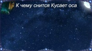 К чему снится Кусает оса (Сонник)
