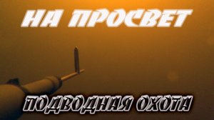 Подводная охота на просвет.  Десногорское водохранилище.