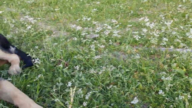 Лето, утро, ляпота :) Мартышке 4 месяца :3 смотреть онлайн