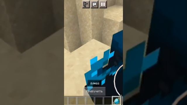 мод на возможность приручить вардена #shorts смотреть онлайн