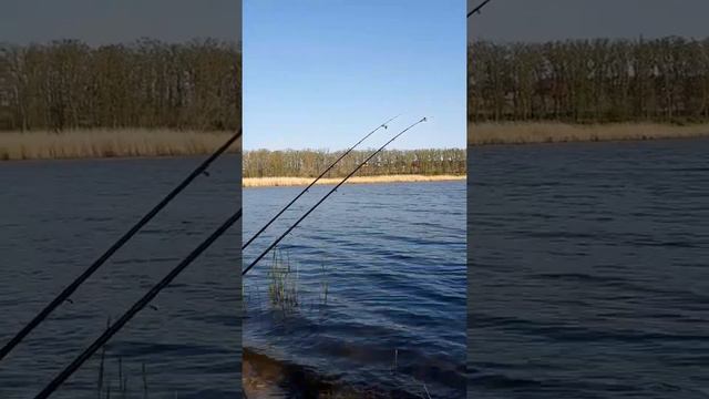 Рыбалка, отдых на природе смотреть онлайн