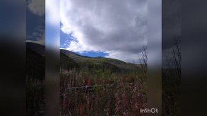 21.08.2022, п. Ягодное Магаданской области