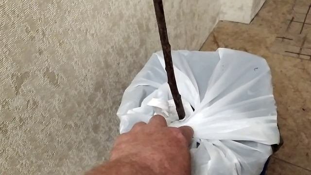 Купил черешню.