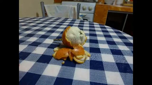 Granadilla смотреть онлайн