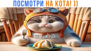 ИГРА: ПОСМОТРИ НА КОТА ))) | Приколы с котами | Мемозг 1437