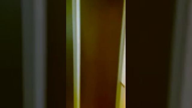 Москва, улица Генерала Белобородова, 32 . 2 комн 40000 руб. смотреть онлайн