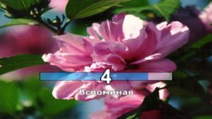 КАРАОКЕ для ДЕТЕЙ Песня О Волшебном Цветке