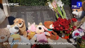 ВСУ могут признать террористической организацией