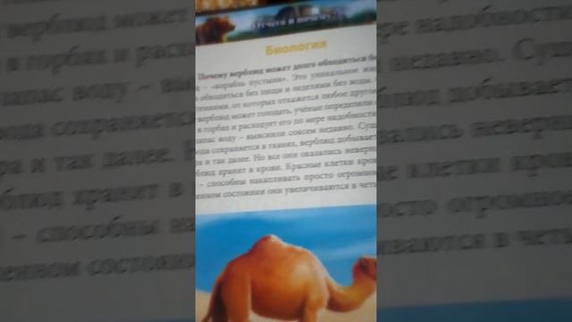 почему верблюд может долго обходится без воды