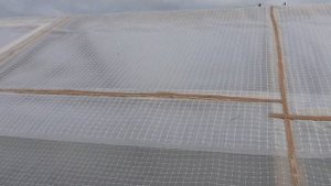 Строительство парника. Крепим плёнку
