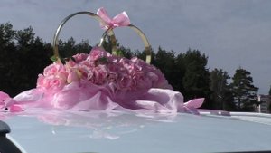 Украшение на свадебную машину Milana