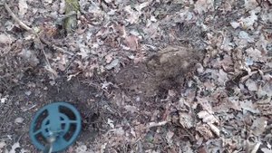 Коп в лесу,Интересные находки,Коп металлоискателем