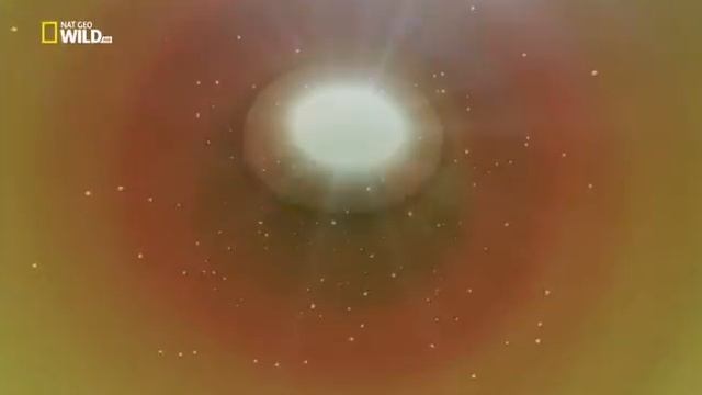 Удивительные насекомые (Богомол) смотреть онлайн