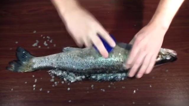 Рыбочистка Мечта рыболова