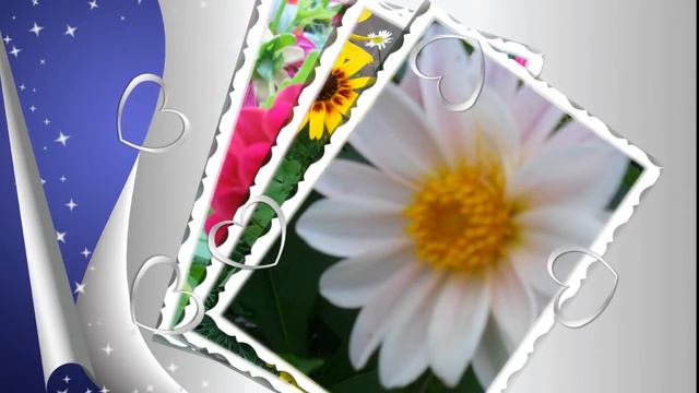 Цветы,цветы... смотреть онлайн