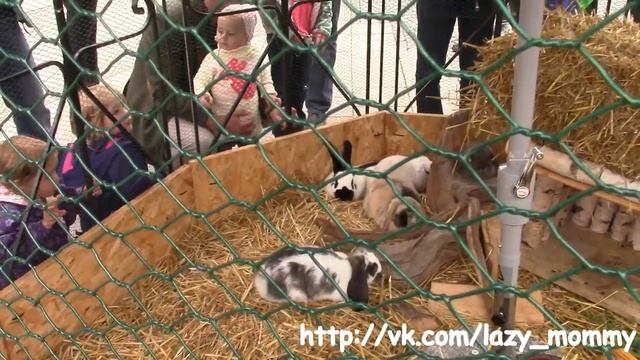Песенка для малышей. Зайка серенький. Детские песни. Развивающее видео